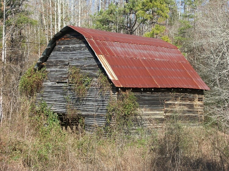 Click to See Next Image