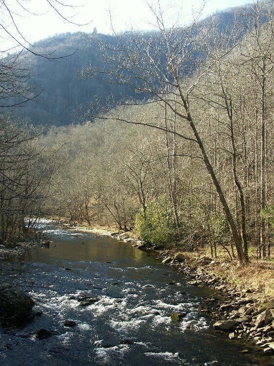 Click to See Next Image