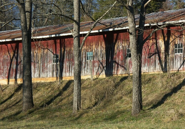 Click to See Next Image