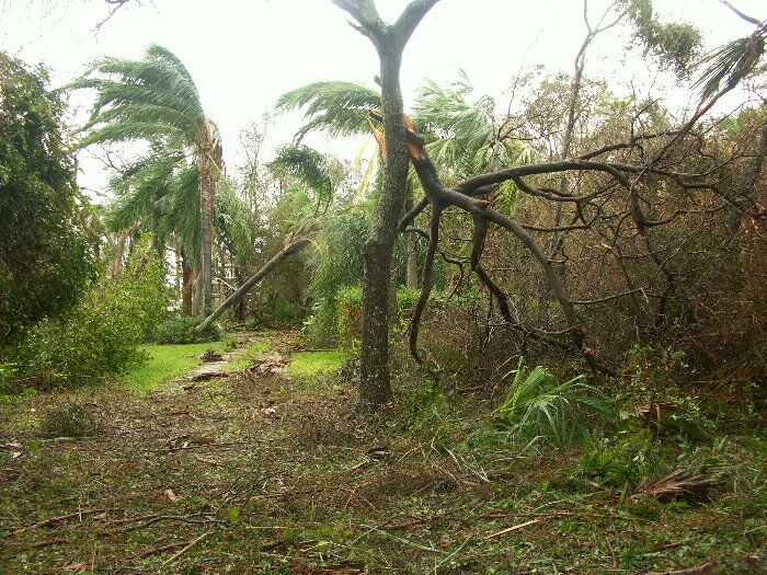 Click to See Next Image