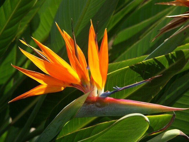 Click to See Next Image