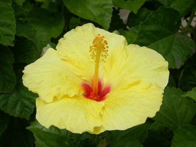 Click to See Next Image