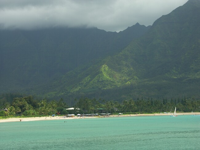 Click to See Next Image