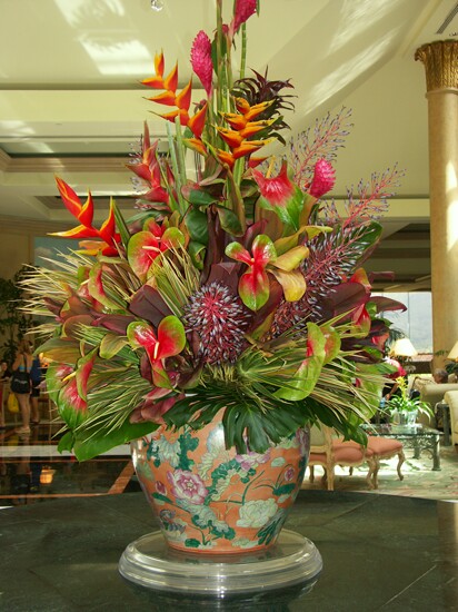 Click to See Next Image