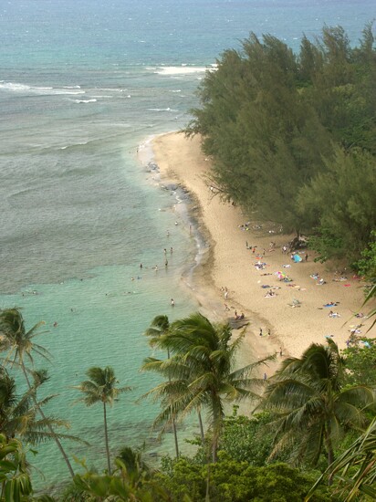 Click to See Next Image