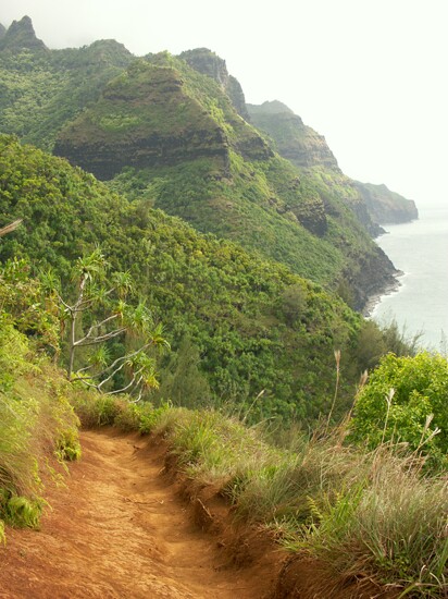 Click to See Next Image