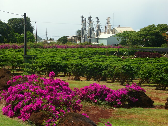 Click to See Next Image