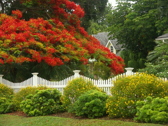 Click to See Next Image