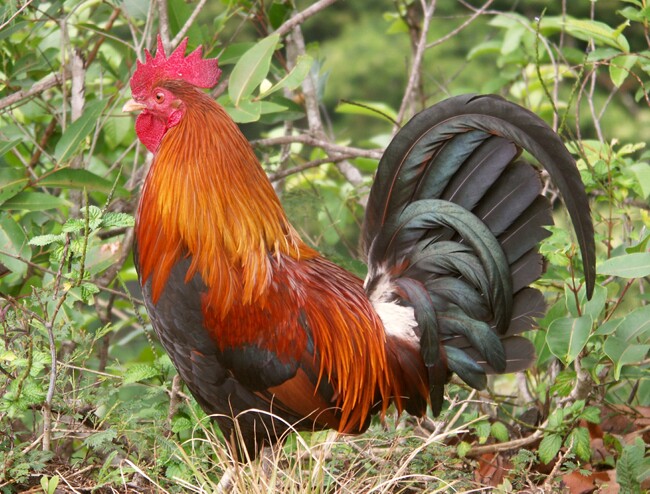 Click to See Next Image