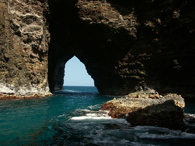 Click to See Next Image