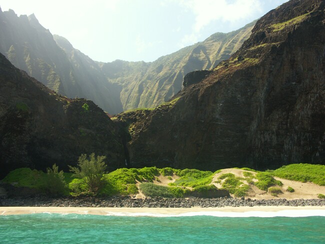 Click to See Next Image