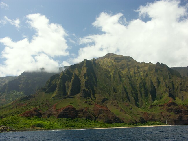 Click to See Next Image