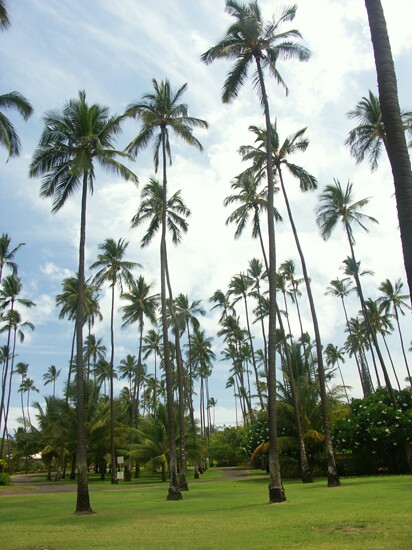 Click to See Next Image