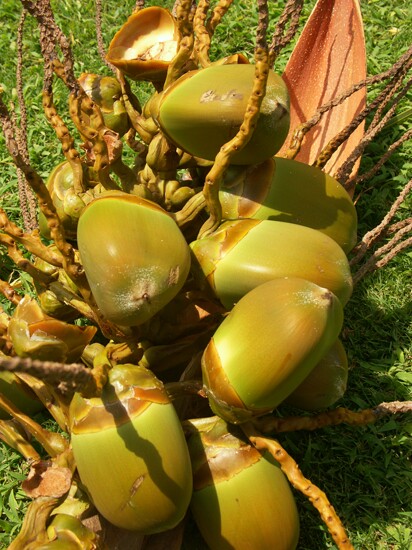 Click to See Next Image