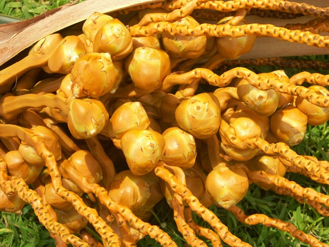 Click to See Next Image