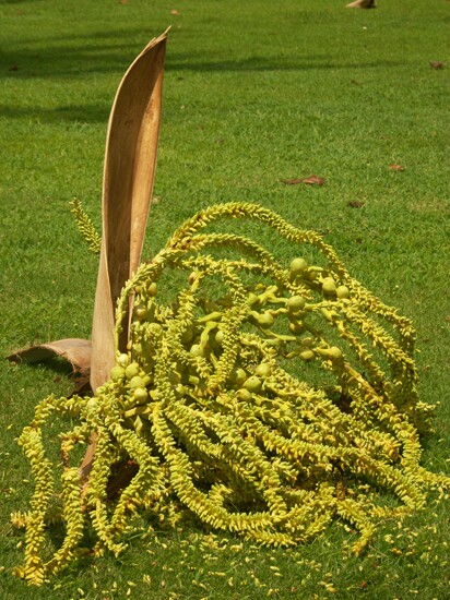 Click to See Next Image