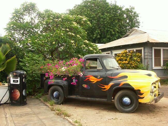 Click to See Next Image