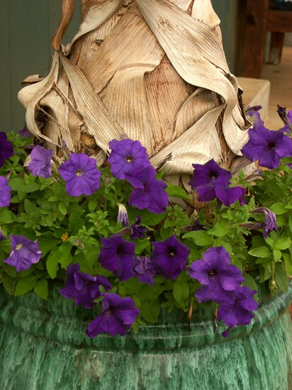 Click to See Next Image