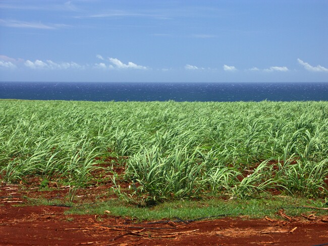 Click to See Next Image