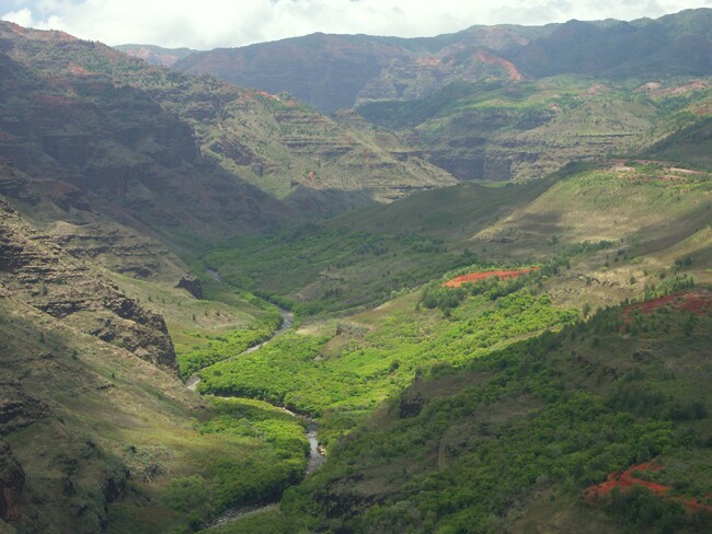 Click to See Next Image