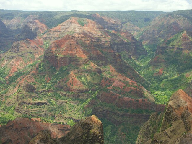 Click to See Next Image