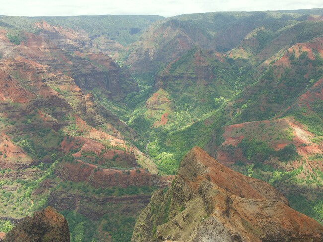 Click to See Next Image