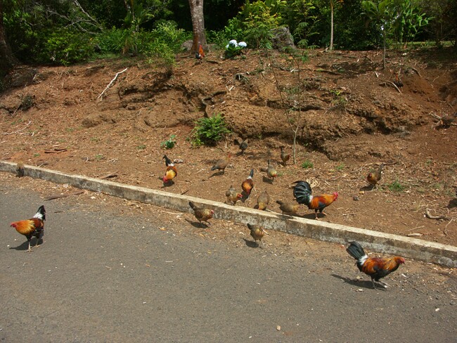 Click to See Next Image