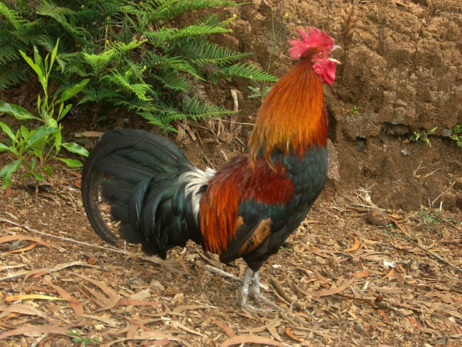 Click to See Next Image