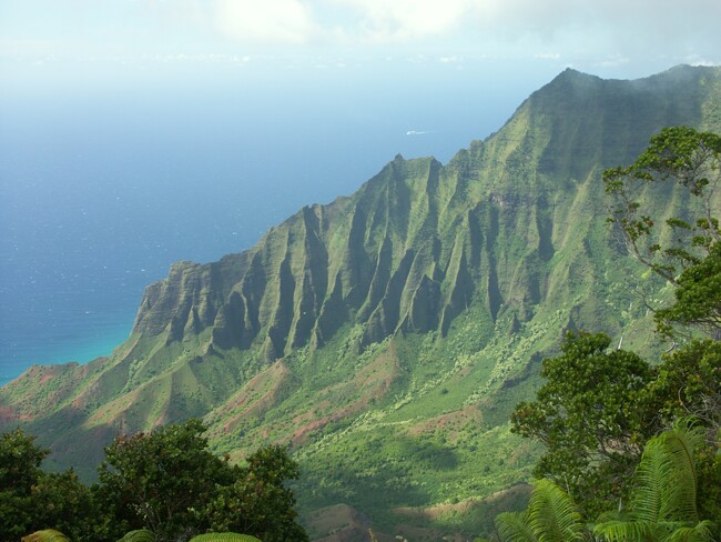 Click to See Next Image