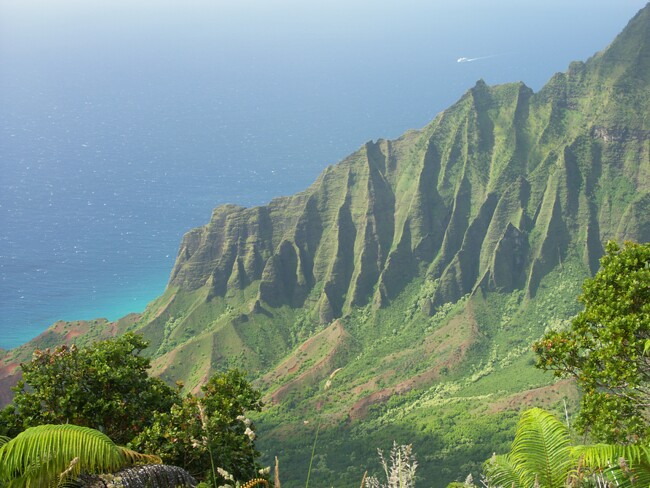 Click to See Next Image