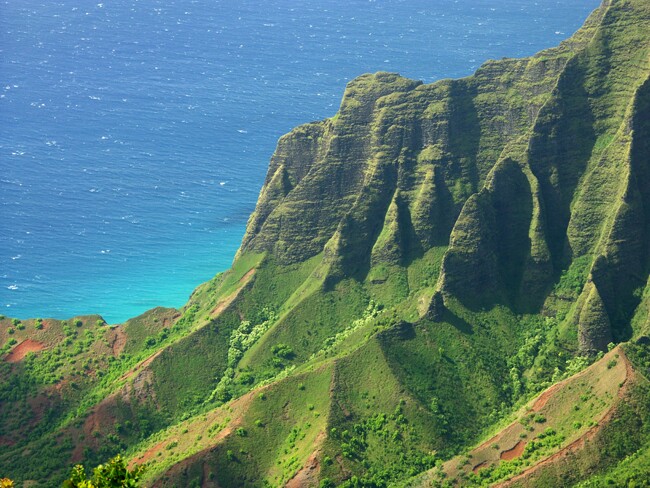 Click to See Next Image