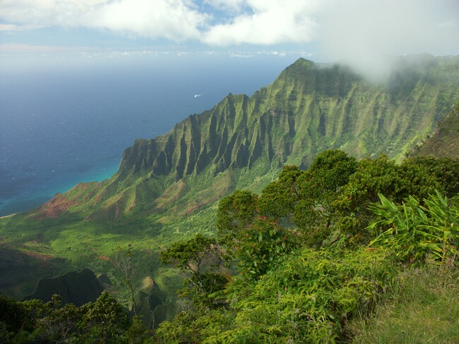 Click to See Next Image