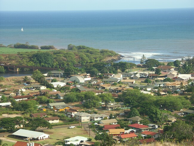 Click to See Next Image