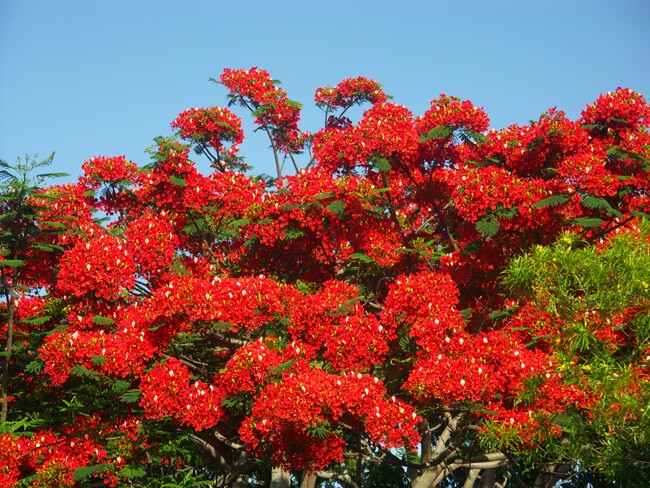 Click to See Next Image