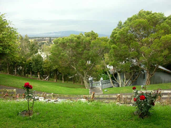 Click to See Next Image