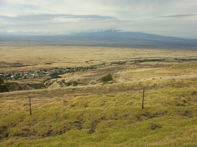 Click to See Next Image