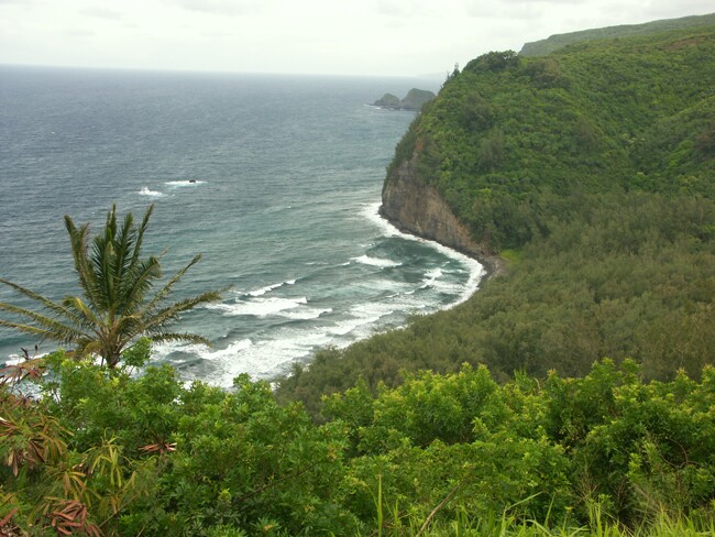 Click to See Next Image