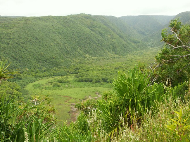 Click to See Next Image