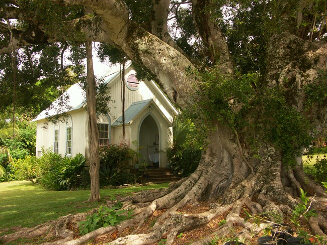 Click to See Next Image