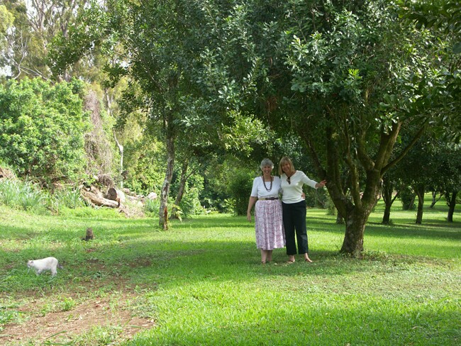 Click to See Next Image