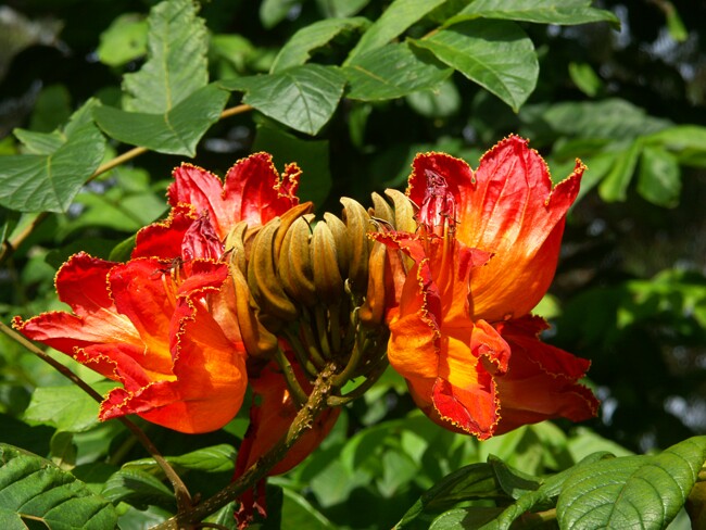 Click to See Next Image