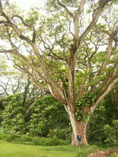 Click to See Next Image