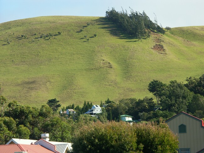 Click to See Next Image