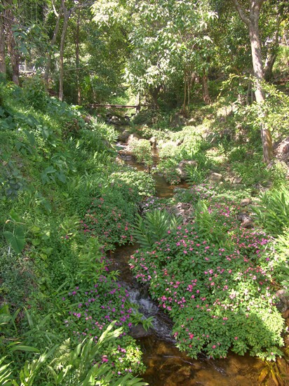 Click to See Next Image