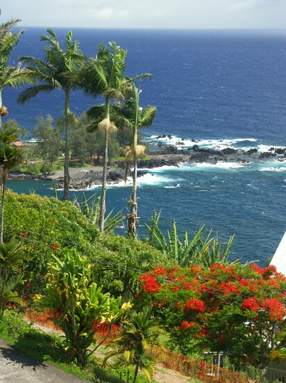 Click to See Next Image