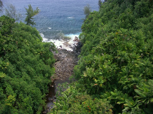 Click to See Next Image