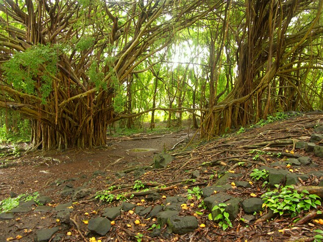 Click to See Next Image