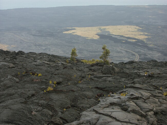 Click to See Next Image