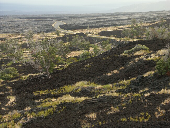 Click to See Next Image