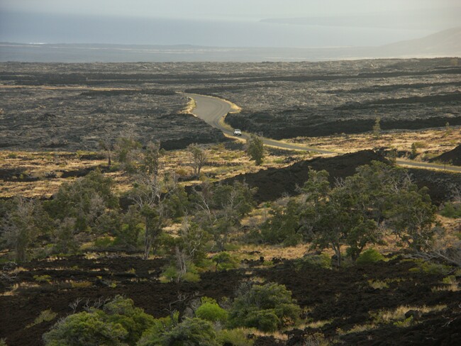 Click to See Next Image